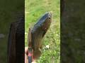 FISHING is Running Away from Me on Land?