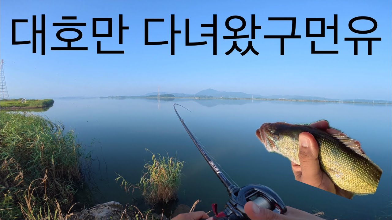 대호만 계곡지 저수위 배스낚시 with 논스토일피싱