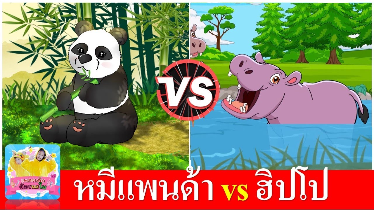 หมีแพนด้า vs ฮิปโป | เพลงเด็กอนุบาล
