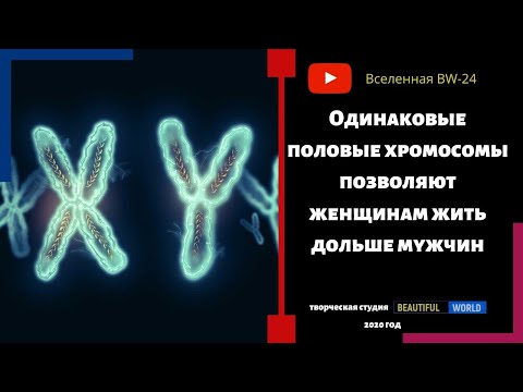 Почему одинаковые половые хромосомы позволяют женщинам на жить дольше мужчин. #ПопулярнаяГеография