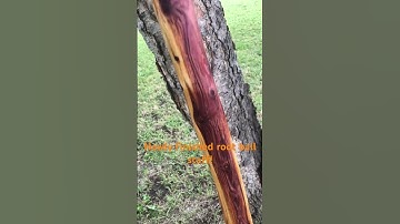 Newly finished eastern red cedar root ball staff! #diy  #crystals #wood #handmade #walkingsticks