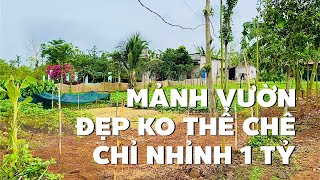 Cờ bạc đổ đốn phải bán rẻ đất vườn 1798m2 đường nhựa rất đẹp để trả hết nợ (ĐÃ BÁN)