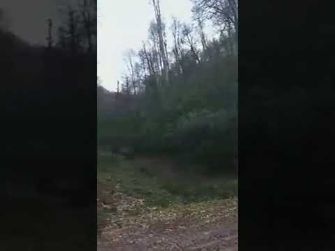 Düzce Hitachi Bir