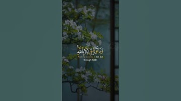 وَمَا تَوْفِيقِي إِلَّا بِاللَّهِ - القارئ مشاري العفاسي