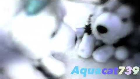 "Jealous" webkinz MEP part 7 for yellowlab8078