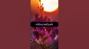 قال أسلمت لرب العالمين. سورة البقرة. القارئ: أويس عبد الفتاح.تلاوة هادئة خاشعة بصوت جميل. #قرآن_كريم