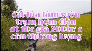Đất lúa làm vườn, trạm bơm điện, 10c, giá 200tr/c. Còn thương lượng. Xã tân lập, tân thạnh , long an