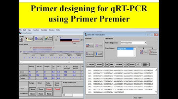 primer designing | qRT pcr primer designing | design specific primer for RT qPCR | Primer Premier