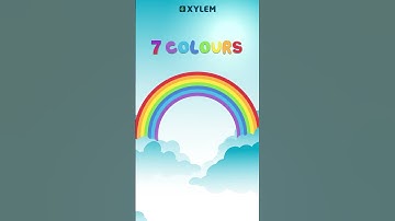 ഇത്തിരി നേരം ഒത്തിരി കാര്യം| Xylem Class 3