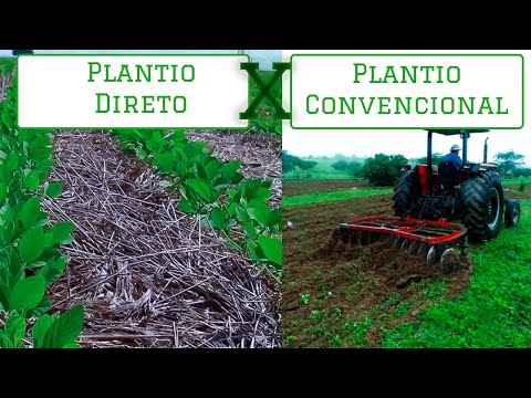 Vídeo: O que é o plantio direto na agricultura Quais são as vantagens e desvantagens?