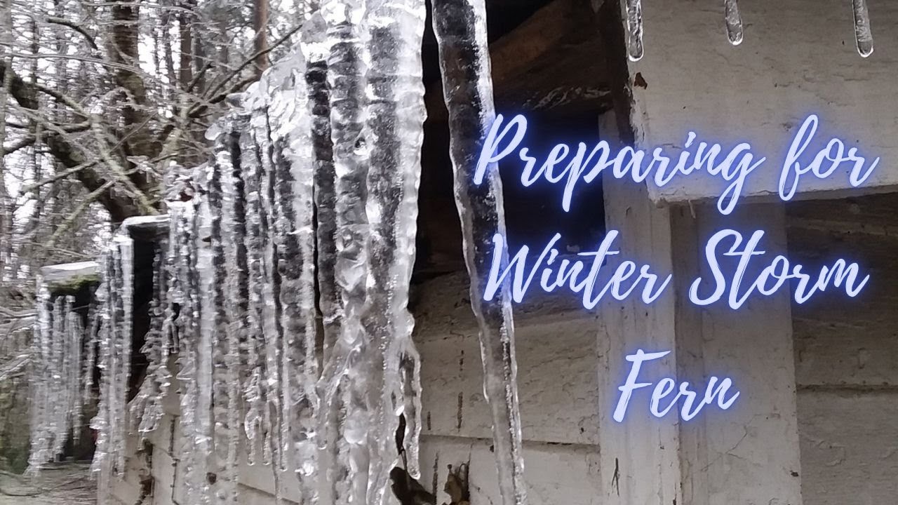 Here She Comes! - Winter Storm Fern