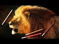 Hyper Realistic Lion Drawing | Sebastian Caltabiano