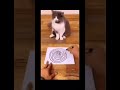 TikTokでバズった動画　#shorts #comedy #可愛い #猫