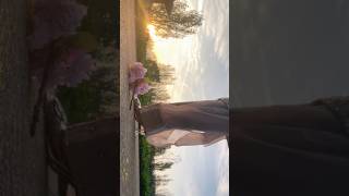 Im Always Late To Every Trend シ