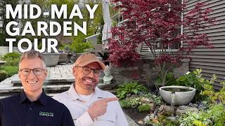 Before We Leave for England… A Mid-May Garden Tour ✈️🇬🇧🌿