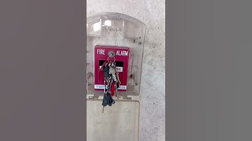 Activating an MCP during testing without pulling the lever, engineers guide #fire  #firesuppression