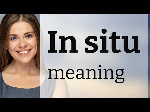 Video: In situ in English?