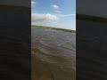 Bank fishing vibes for the Tyler Reel Online Tourney today—just out here chasing bass!!! #bass