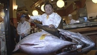 マグロ、１億５５４０万円 昨年の３倍、築地初競り