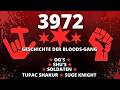 Bloods Gang: Geschichte der L.A. Street Gang und Rivalität mit Crips