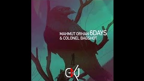 Mahmut Orhan & Colonel Bagshot - 6 Days (Acapella - Vocal)