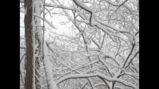 panoramic snow scene