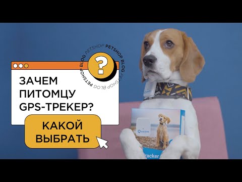 Видео: GPS консумира ли данни?