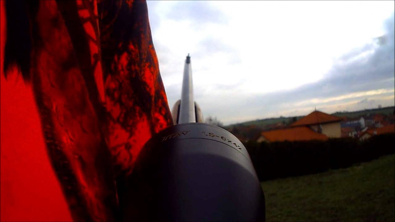 chasse sanglier 02 02 2013