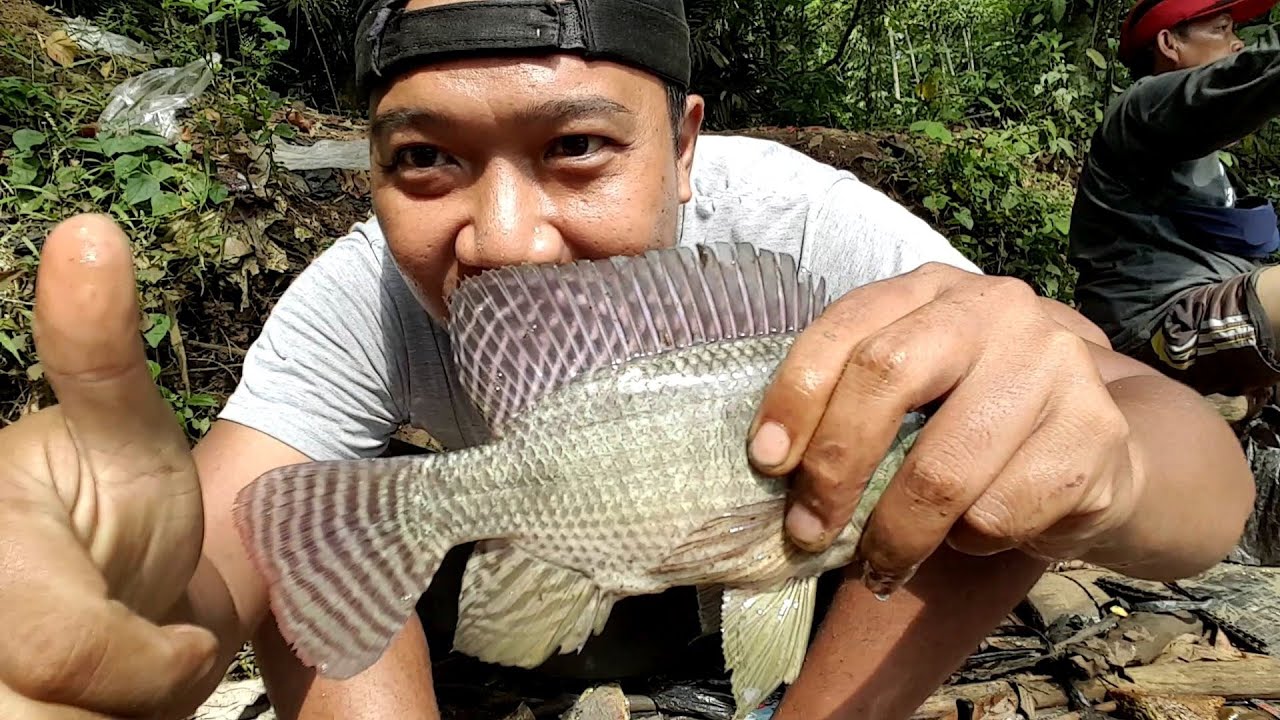  Mancing mujair nila  ikannya lagi lahap YouTube