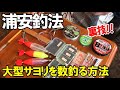巨大サヨリが釣れる浦安釣法の最強仕掛けと4つの裏技をご紹介します!浦安の春サヨリ開幕に向けて解説【マイナス世界の釣りと温泉】