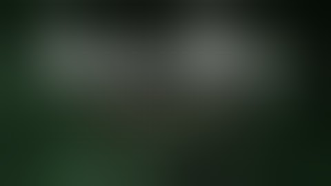 STEINS;GATE: Linear Bounded Phenogram Trailer | PS4 & Steam (PC)