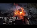 早春の南アルプス深南部二泊三日釣行記【二日目】厳しいテンカラ