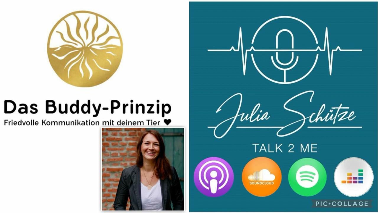 Pferde-/ Tierkommunikation nach dem BUDDY PRINZIP; 