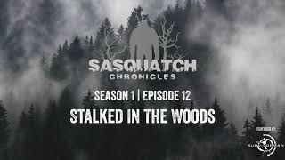 Sasquatch Chronicles | Season 1 | Episode 12 | Stalked in the Woods