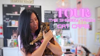 TAKE A VIRTUAL TOUR OF THE SHABBY TABBY CAT CAFE | Behind The Scenes with Ryan and her vision!