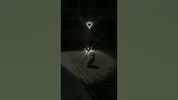 اكتب شيء تؤجر عليه 💚😴 / القارئ عبد الرحمن مسعد