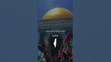 ويشف صدور قومٍ مؤمنين #تلاوة #إذاعة_المشكاة #تونس #القدس #طوفان_الأقصى