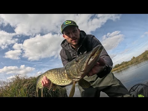 Is it a great time for pike fishing in autumn? Big bait fishing from a float tube!