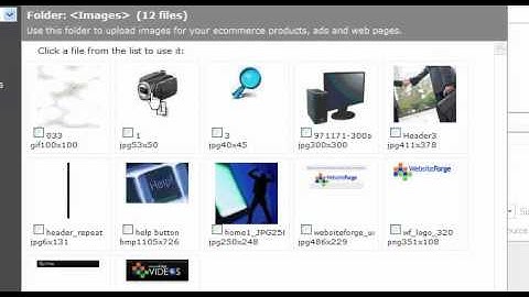 Ecommerce Format Description Text - Websiteforge Ecommerce Website