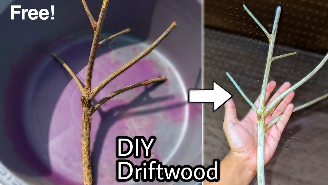 Diy Driftwood How to make aquarium driftwood at home (Simple steps