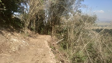 Tiếp tục hành trình leo núi dài Ba Chúc. Tập 3