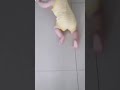 زحف زحف زحف زحف