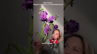 Консультация маркетолога в inst: vorontsofa_sofa #маркетинг #цветочныйбизнес #рек #сммспециалист