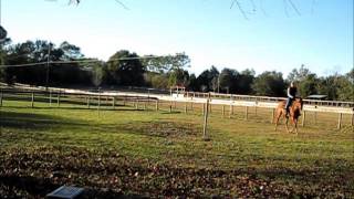 Milo Flatwork