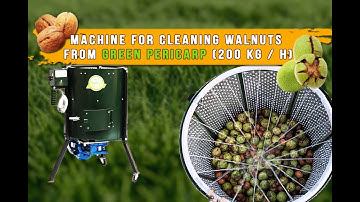 Green walnut peeling and cleaning machine (200 kg/h)