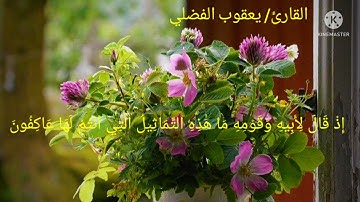 ما تيسر من سورة الأنبياء