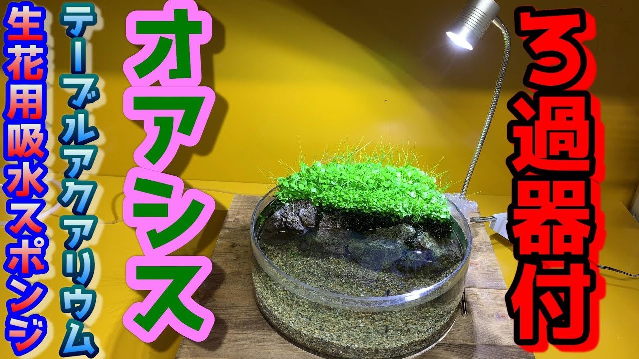 生花用のオアシスを使ってろ過器付テーブル グラスアクアリウム 熱帯魚 簡単水草レイアウト ビオトープ Making An Oasis Youtube