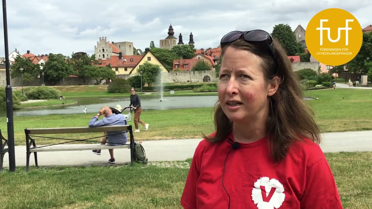 Almedalsveckan: Videointervjuer