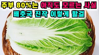 아직도 배추된장국 배추를 삶아서 끓이나요? 육수없이 시원하게 끓이는 꿀팁 공개합니다💚