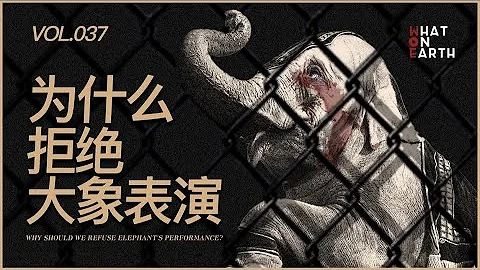 动物表演的背后… 马戏团是如何虐待大象的？野生动物正在经历著什么？ | WhatOnEarth - 天天要闻